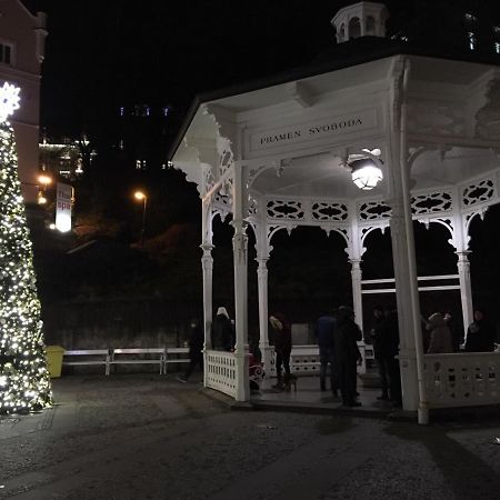 Apartmán Elvíra Karlovy Vary Exteriér fotografie