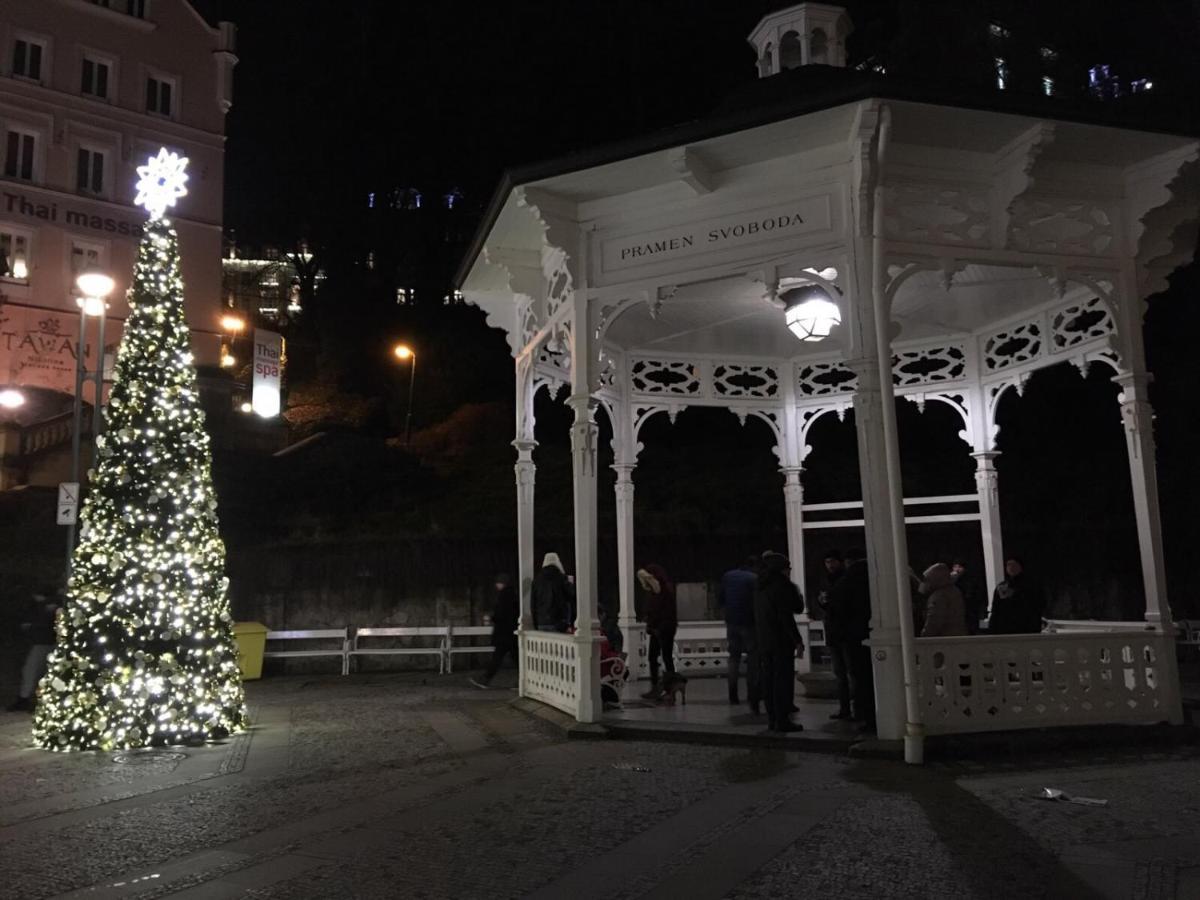 Apartmán Elvíra Karlovy Vary Exteriér fotografie